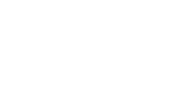 Bold Design Group