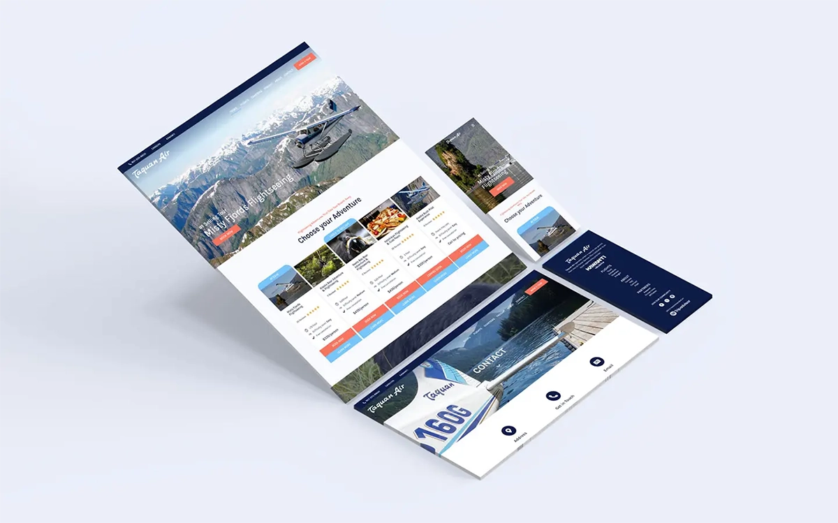 Taquan Air Website mock up